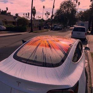 Meet your Posher, Maya